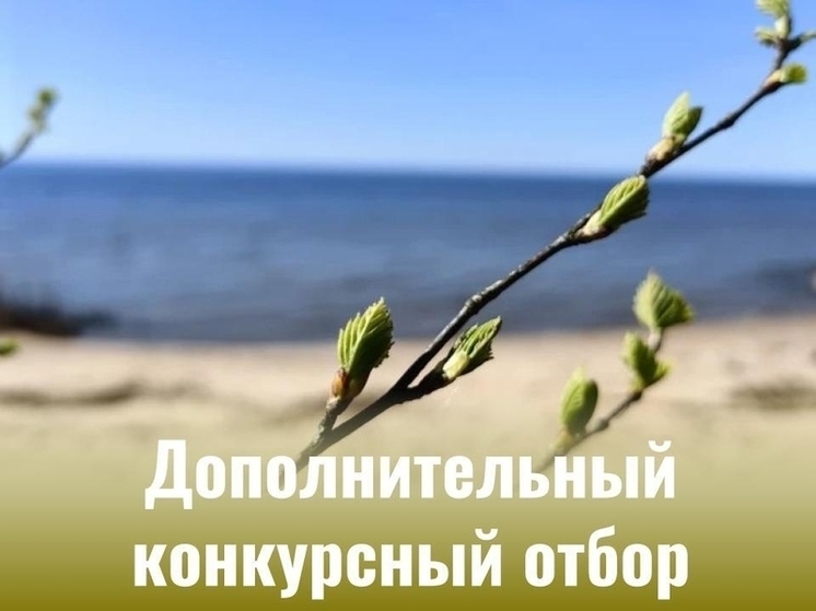 Минтуризма Псковской области принимает заявки на субсидии для туристических проектов до 11 июня