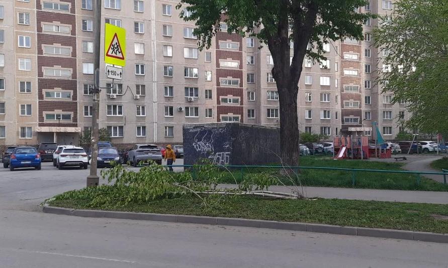 Порывы ветра сломали 19 деревьев в День Победы в Челябинске