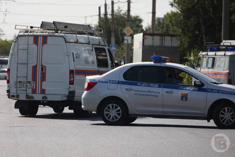 Под Волгоградом иномарка влетела в дерево, четыре человека в больнице