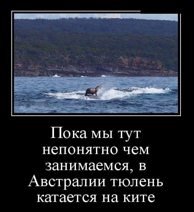 Тут понятно. Демотиваторы со смыслом. Прикольные демотиваторы со смыслом. Демотиваторы свежие про жизнь. Веселые демотиваторы со смыслом.