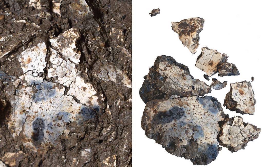 Фрагменты черепа из извлеченной урны бронзового века Waltenberger et al./CC BY 4.0