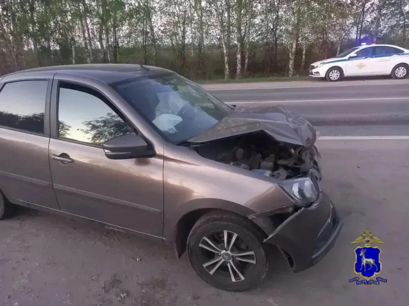 JPG Файл