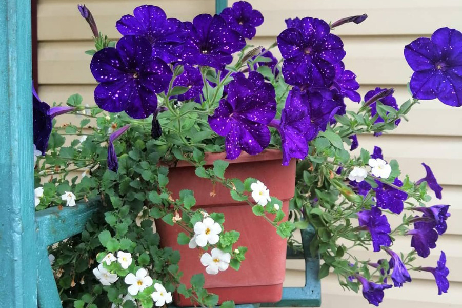 Фото из архива Евгении Ёлгиной