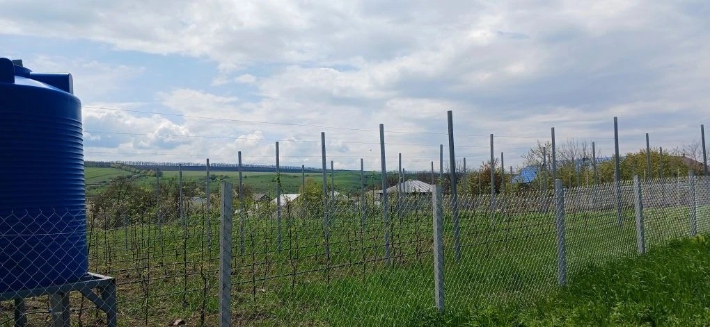 Школьники Предгорного округа Ставрополья ухаживают за молодым садом