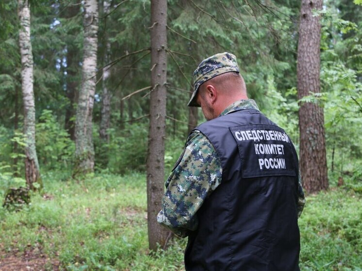 В Иванове расследуется особо жестокое убийство