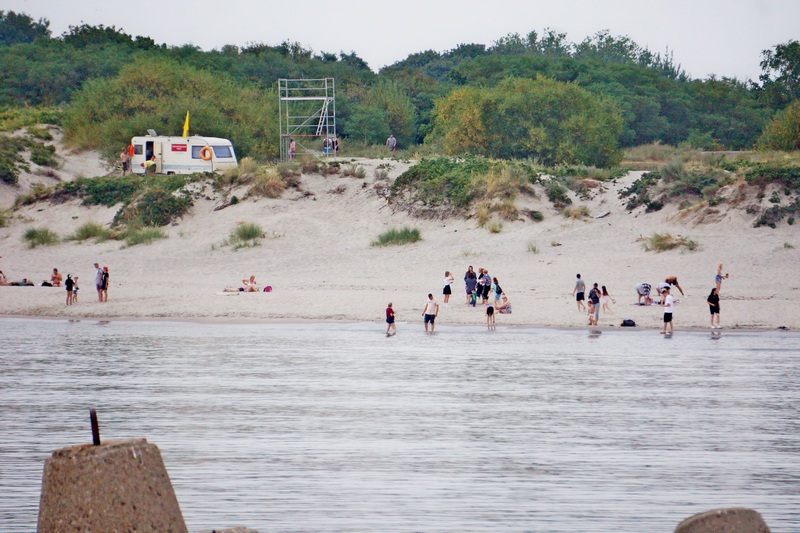 Купаются ли в балтийском море в калининграде