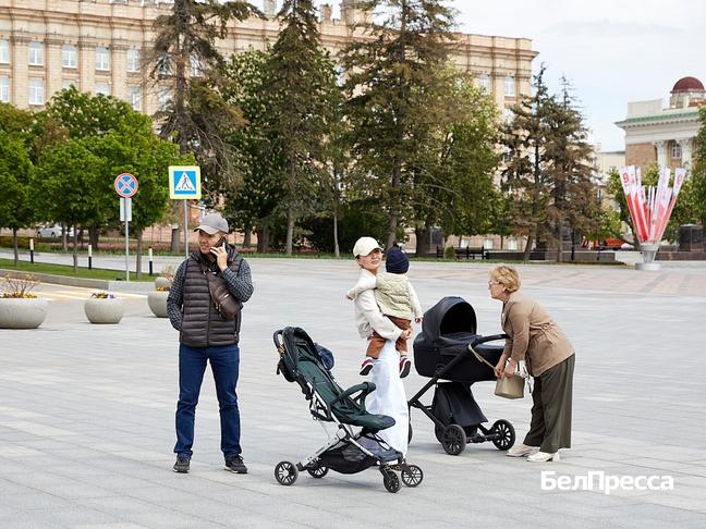 В Белгородской области новорождённых любят называть Михаилом и Софией - Изображение 