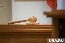 Суд оставил без движения ходатайство Ирины Дубровской 