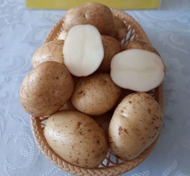 Лучшие сорта картофеля для Южного и Среднего Урала: семенного, новые, отзывы