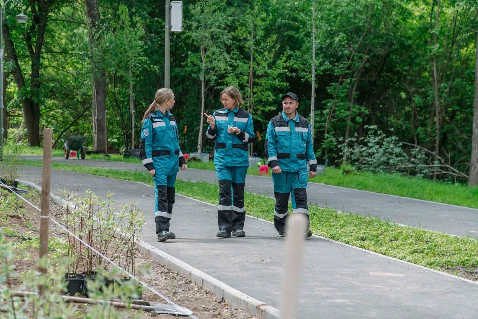 В Серебрянском парке было посажено более сотни кустарников и деревьев