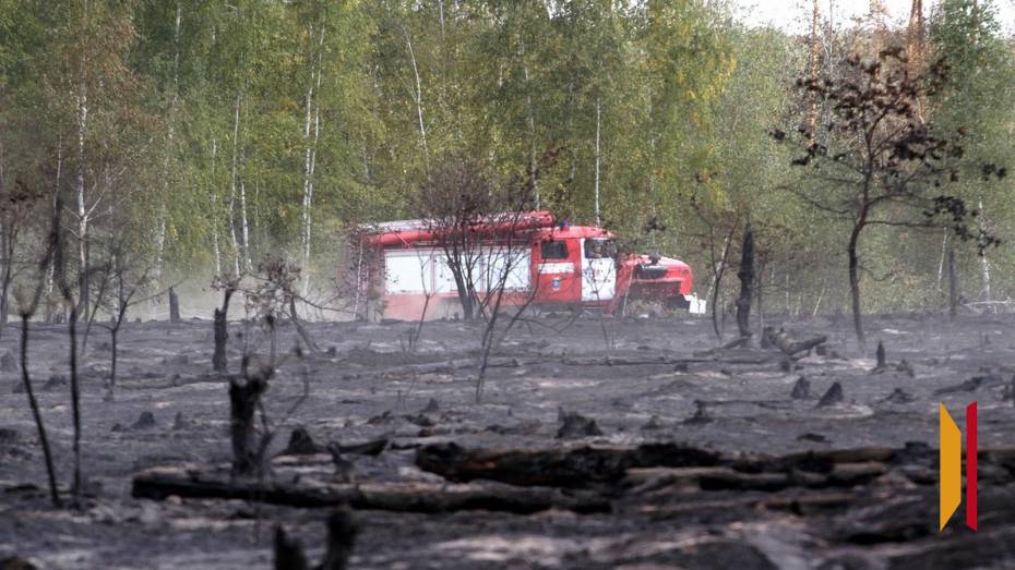 На территории Лискинского района Воронежской области объявили особый противопожарный режим