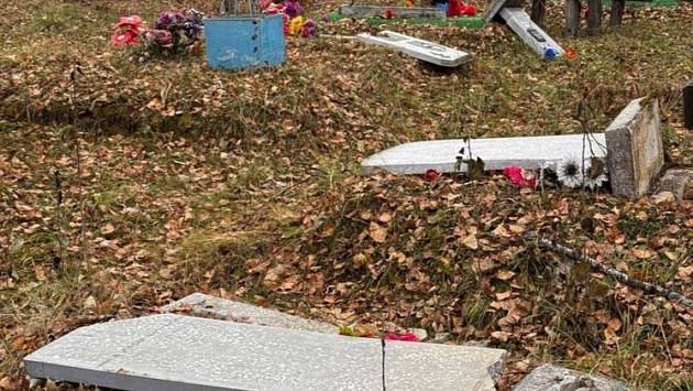 В Новосибирской области юные вандалы разгромили кладбище