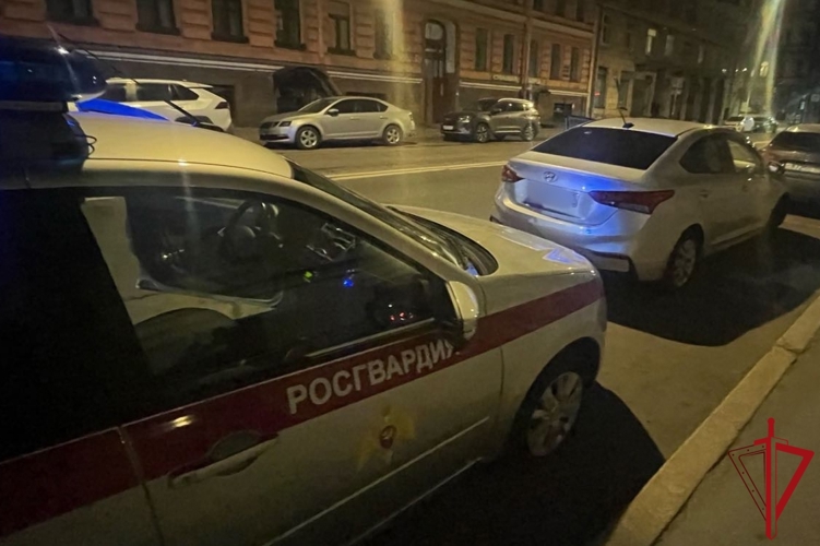 Росгвардейцы обнаружили разыскиваемый автомобиль и задержали водителя, подозреваемого в мошенничестве