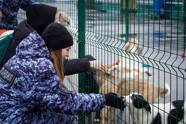 Московские росгвардейцы организовали благотворительную акцию в приюте для животных