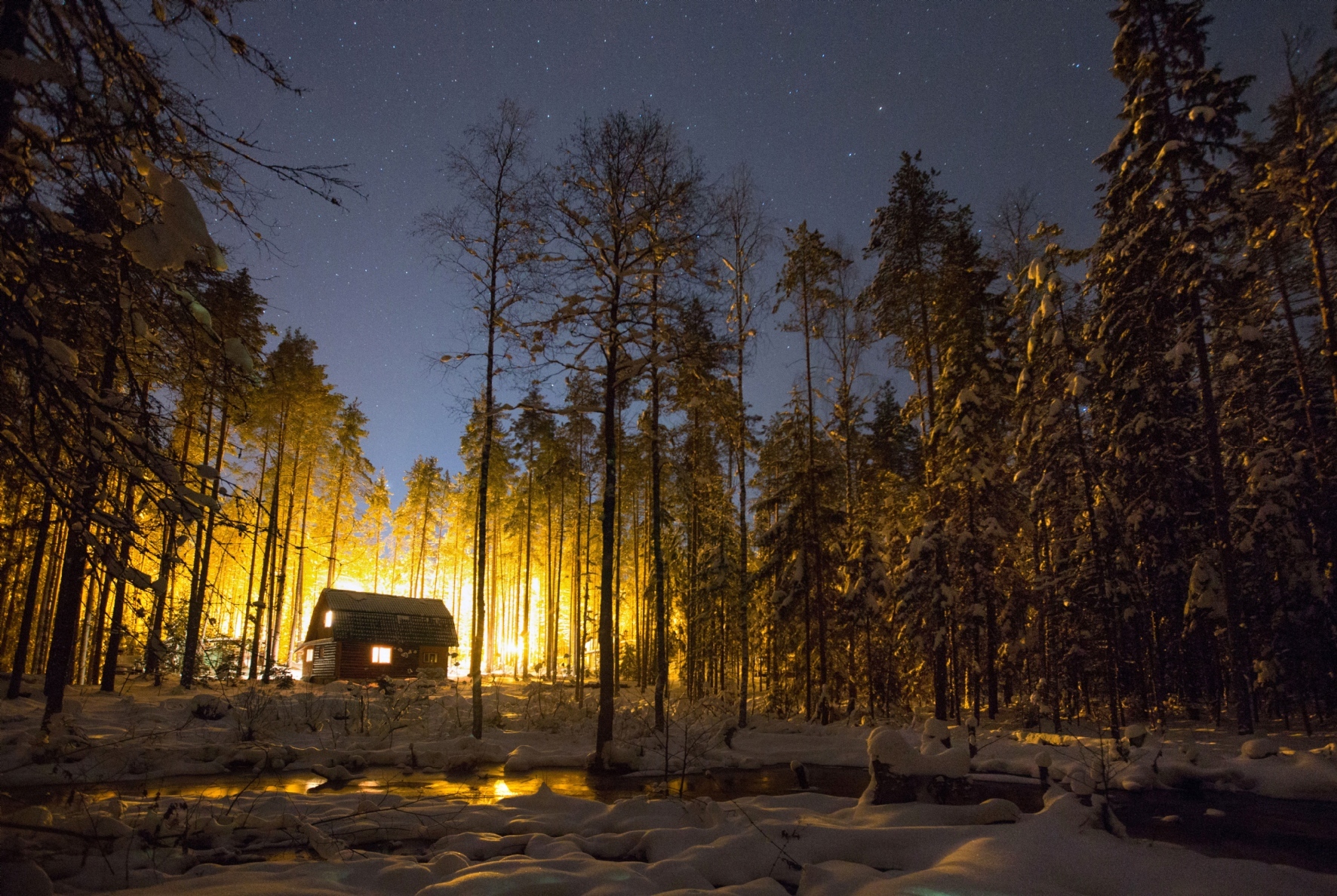 Фото: Куликов Сергей / PhotoXPress.ru