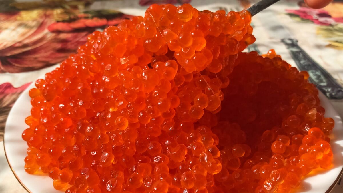 Икра как выбрать. Тарелка с икрой. Salmon Caviar икра лососевая. Красная икра на тарелке.