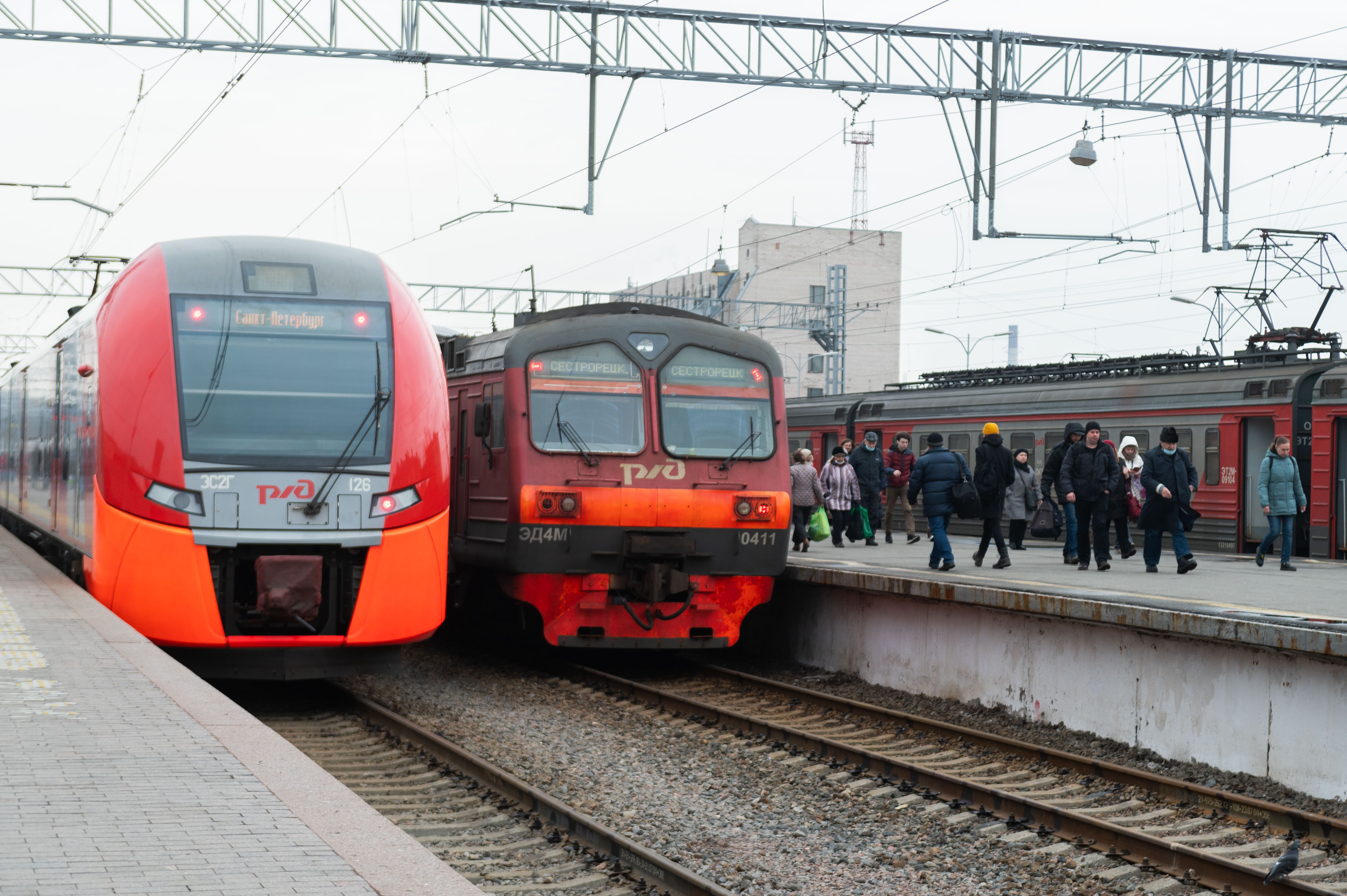поезд электричка. пригородный поезд. поезд 361.