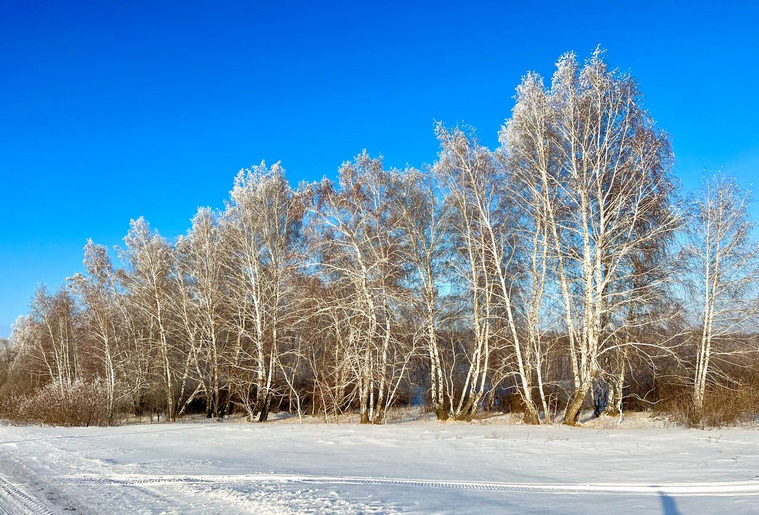 Погода сибирский на 10 дней