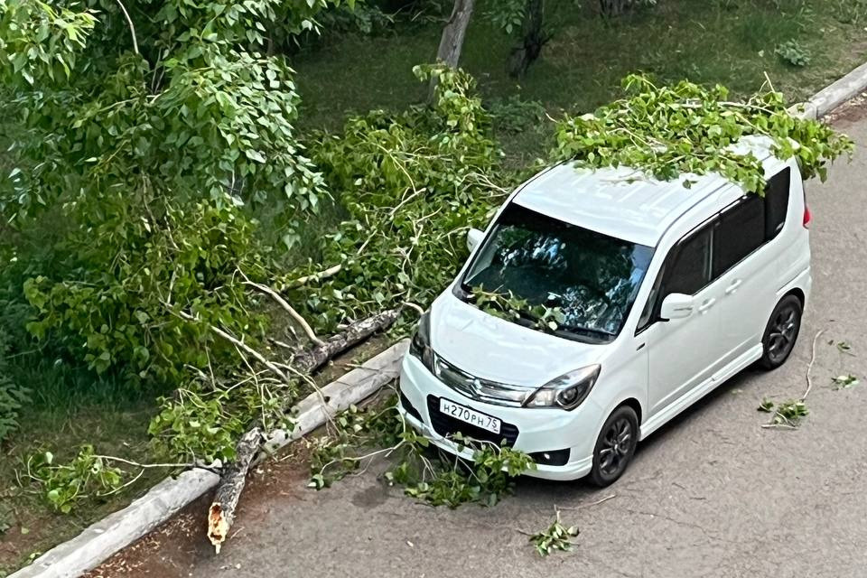 Почему погибают дети в дтп