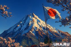 В Японии с опаской отреагировали на встречу лидеров РФ, КНР и КНДР