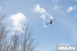 Мужчина и девочка-подросток чудом выжили авиакатастрофе 