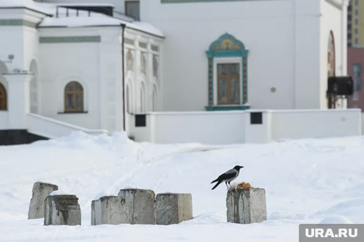 Покров Пресвятой Богородицы: что можно и нельзя делать