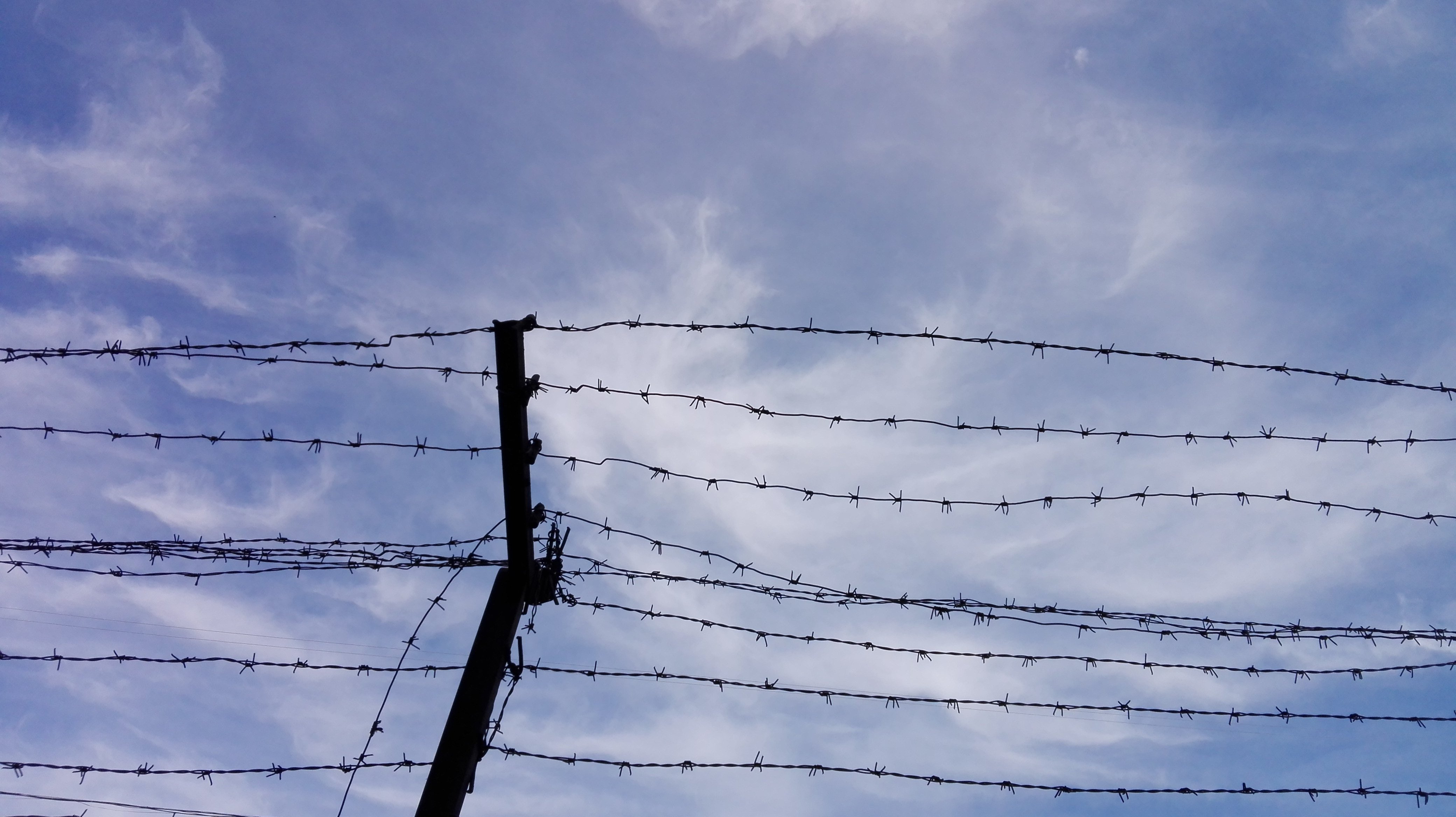 Маньяк, который совершил серию убийств в Удмуртии, пытается выйти на свободу из колонии