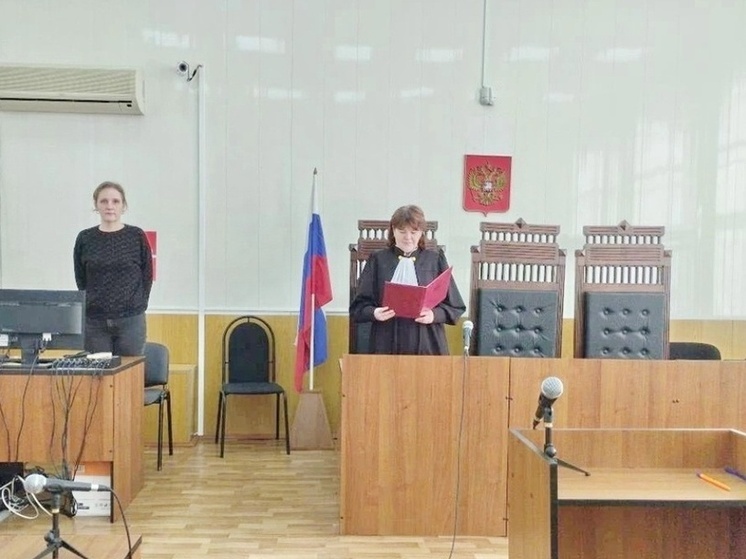 Житель Комсомольского района осужден за ложный донос на свою супругу