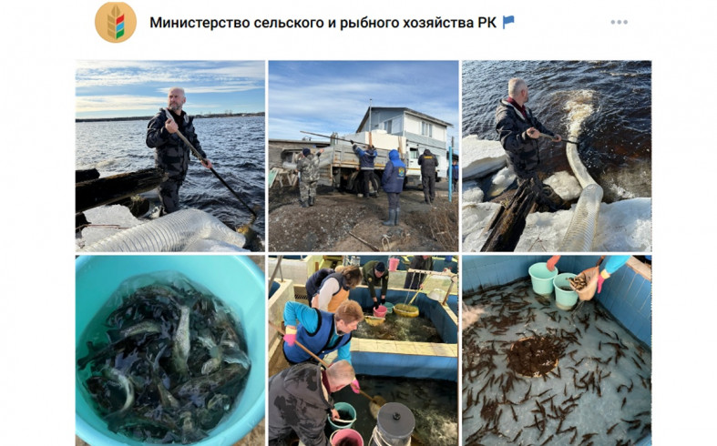 выпусков мальков