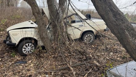 На воронежской трассе 19-летний водитель врезался в дерево: есть пострадавшие