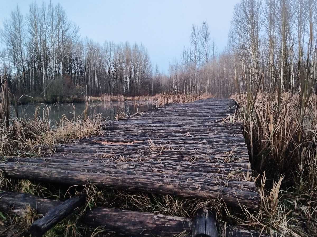 6 ноября снова будет облачно, пройдёт небольшой дождь.