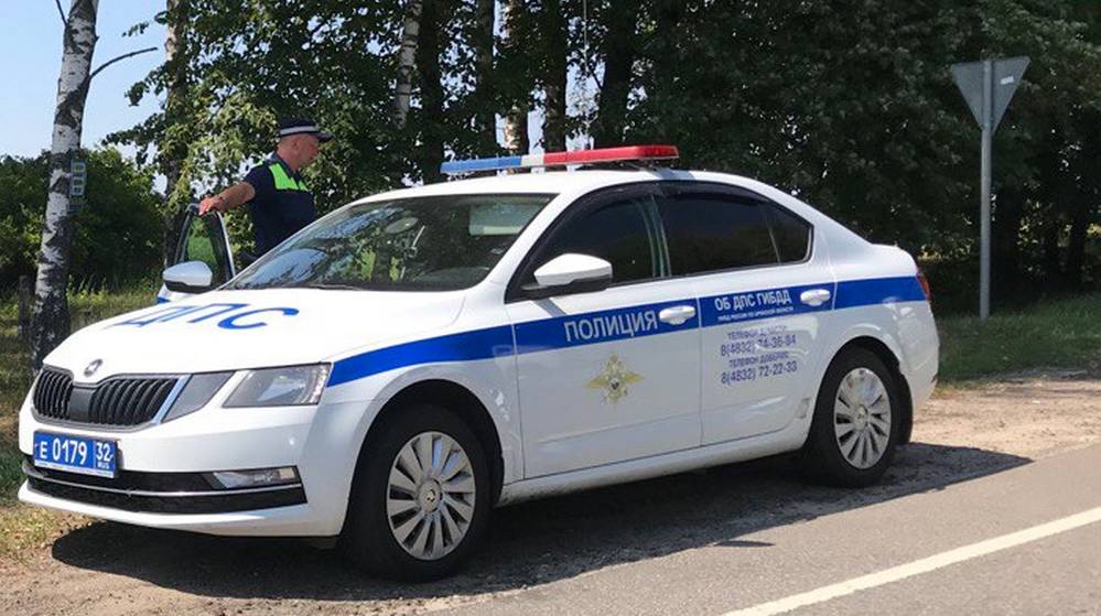 Брянский водитель за «пьяную» смертельную аварию получил 7 лет колонии