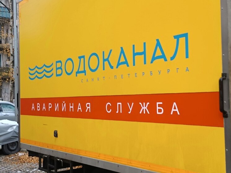 «Водоканал» признали ответственным за сброс стоков в Муринский ручей