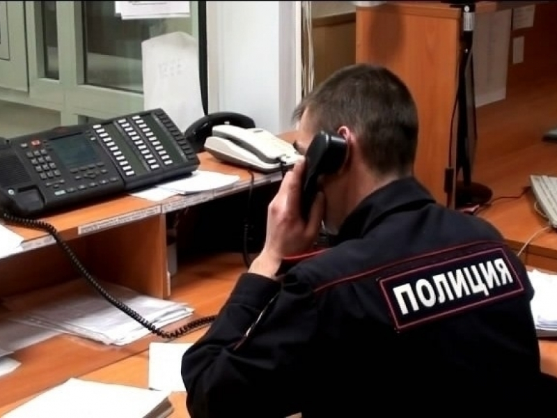 Полиция