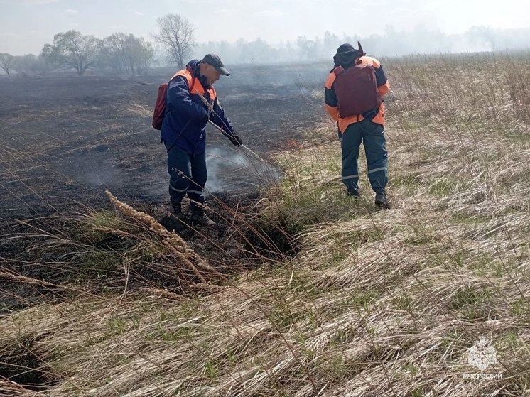 Больше 500 гектаров растительности сгорело за сутки в Приамурье