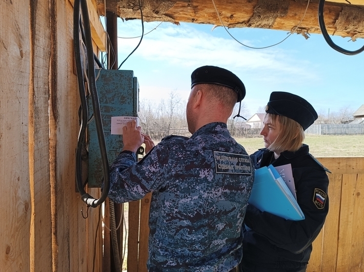 В Пермском крае судебные приставы на полгода приостановили деятельность пилорамы