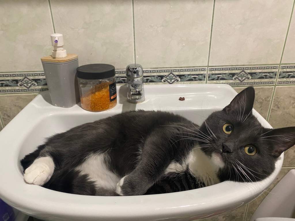 Горячая вода курск. Горячая вода курск. Холодное водоснабжение. Вода течет из крана. Горячая вода курск.