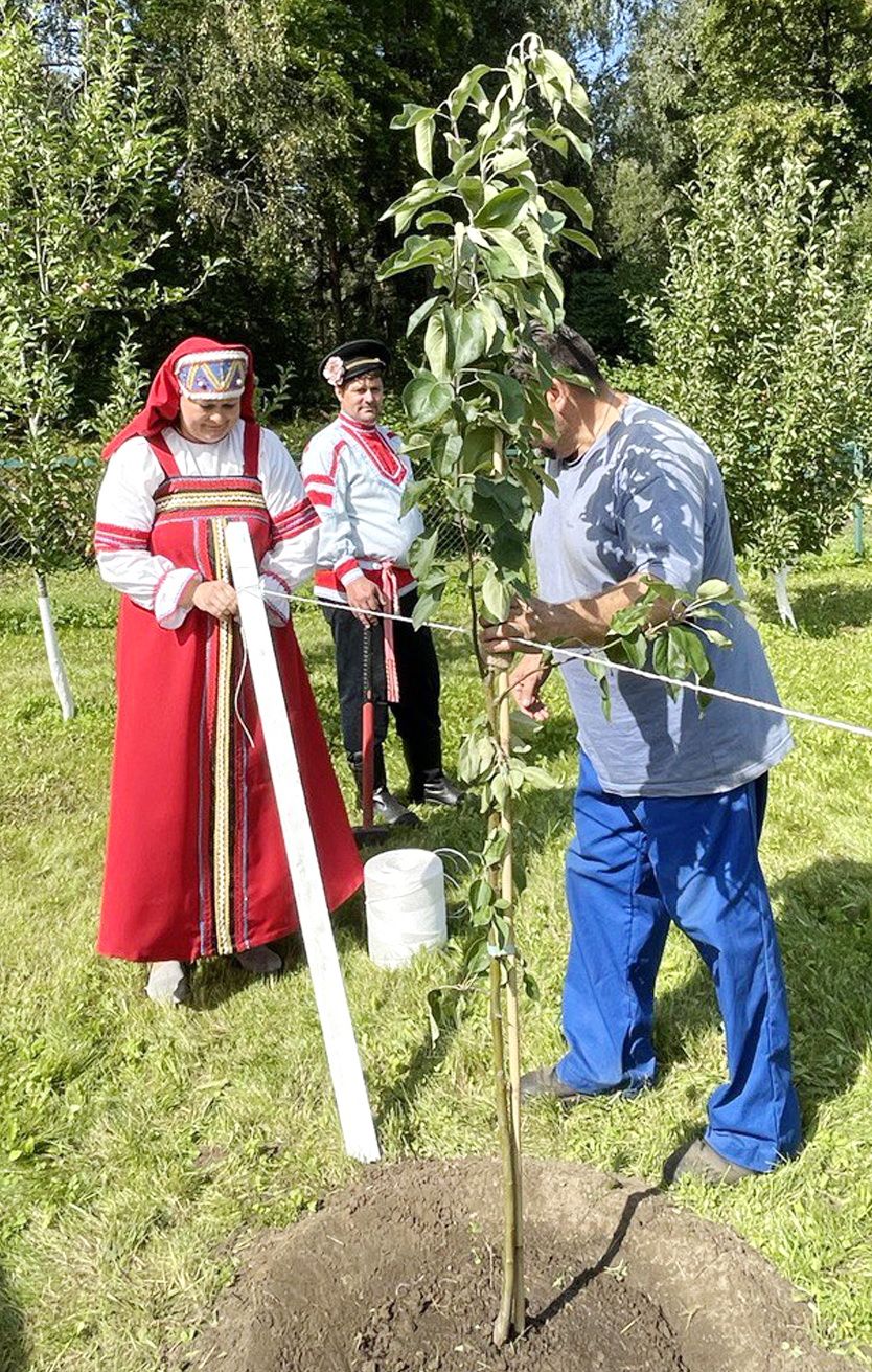 Сад Боде1_Волкова.jpg