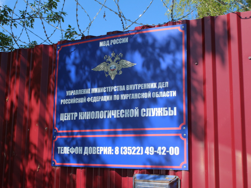 JPG Файл