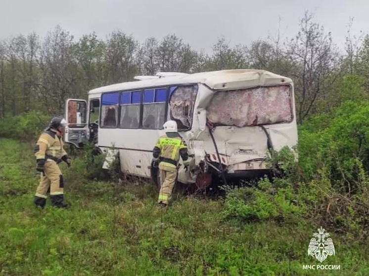 В Ростовской области в ДТП автобуса и фуры пострадала женщина