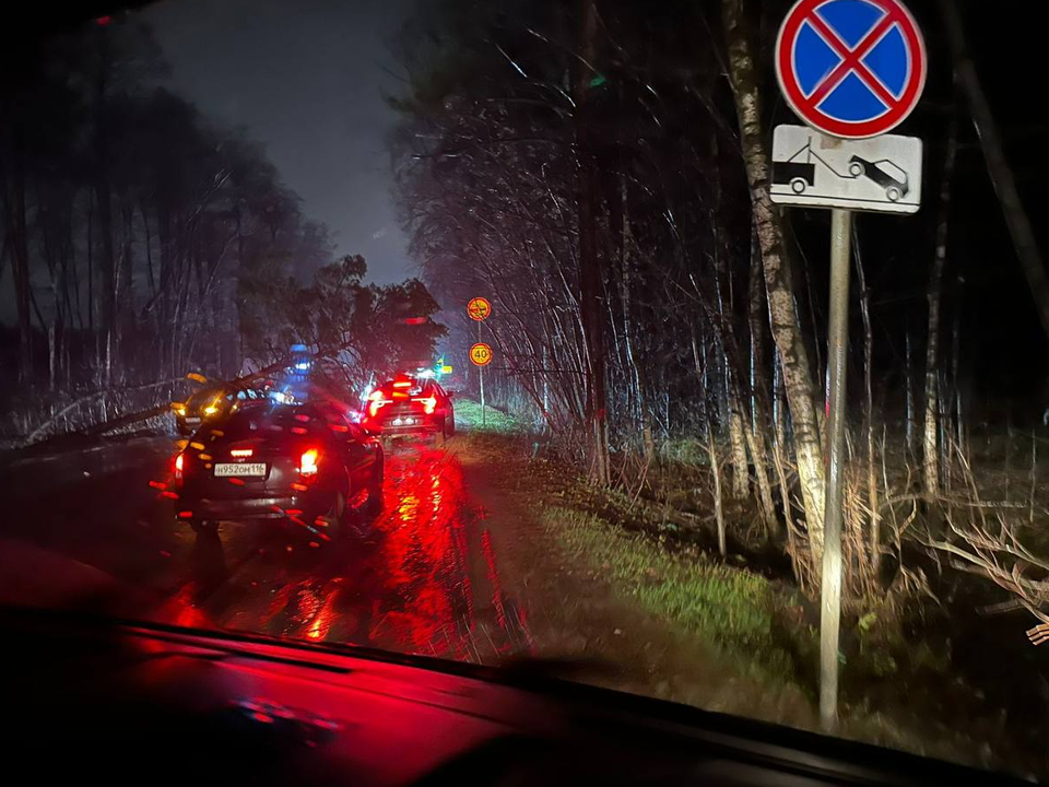 В Лыткарине из-за непогоды повалило деревья