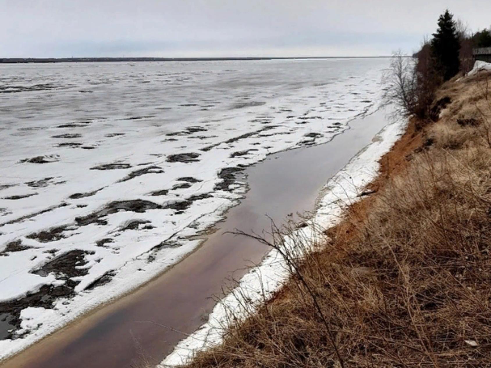 мезень река