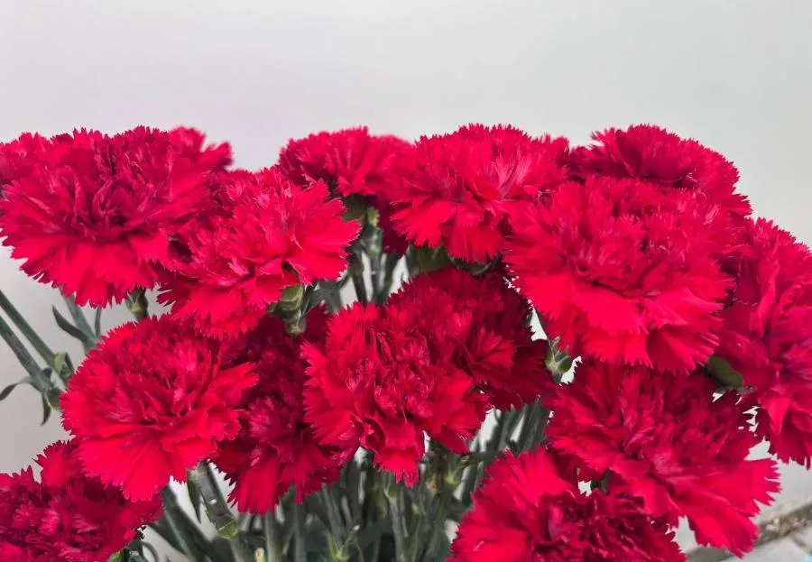 В городе Валдае установили памятник воину Красной армии 12‑летнему ленинградцу Боре Новикову | ФОТО Полины АКИМОВОЙ