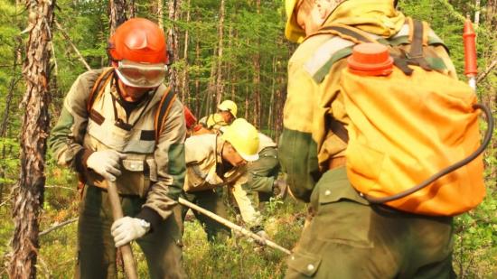 Более 50 лесных возгораний потушили в лесном фонде в Иркутской области с начала пожароопасного сезона