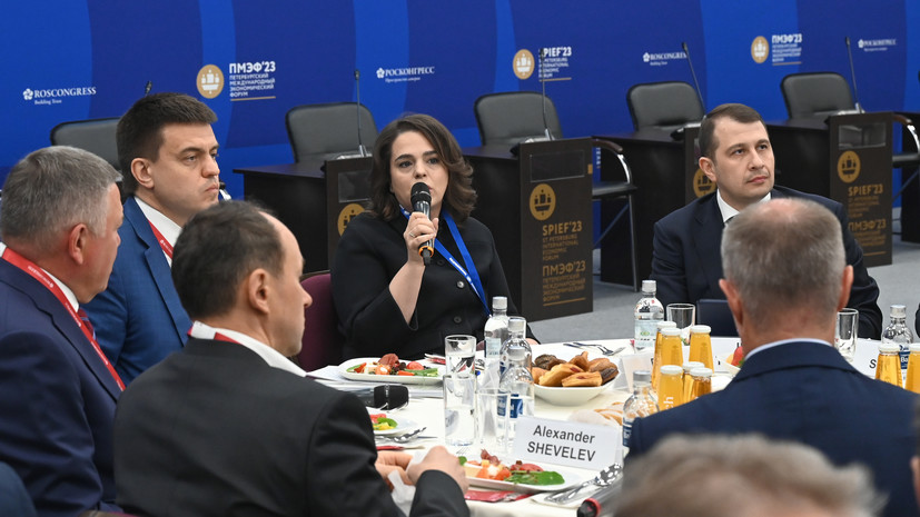 «Пример настоящего партнёрства государства и бизнеса»: на ПМЭФ обсудили реализацию климатических проектов в России