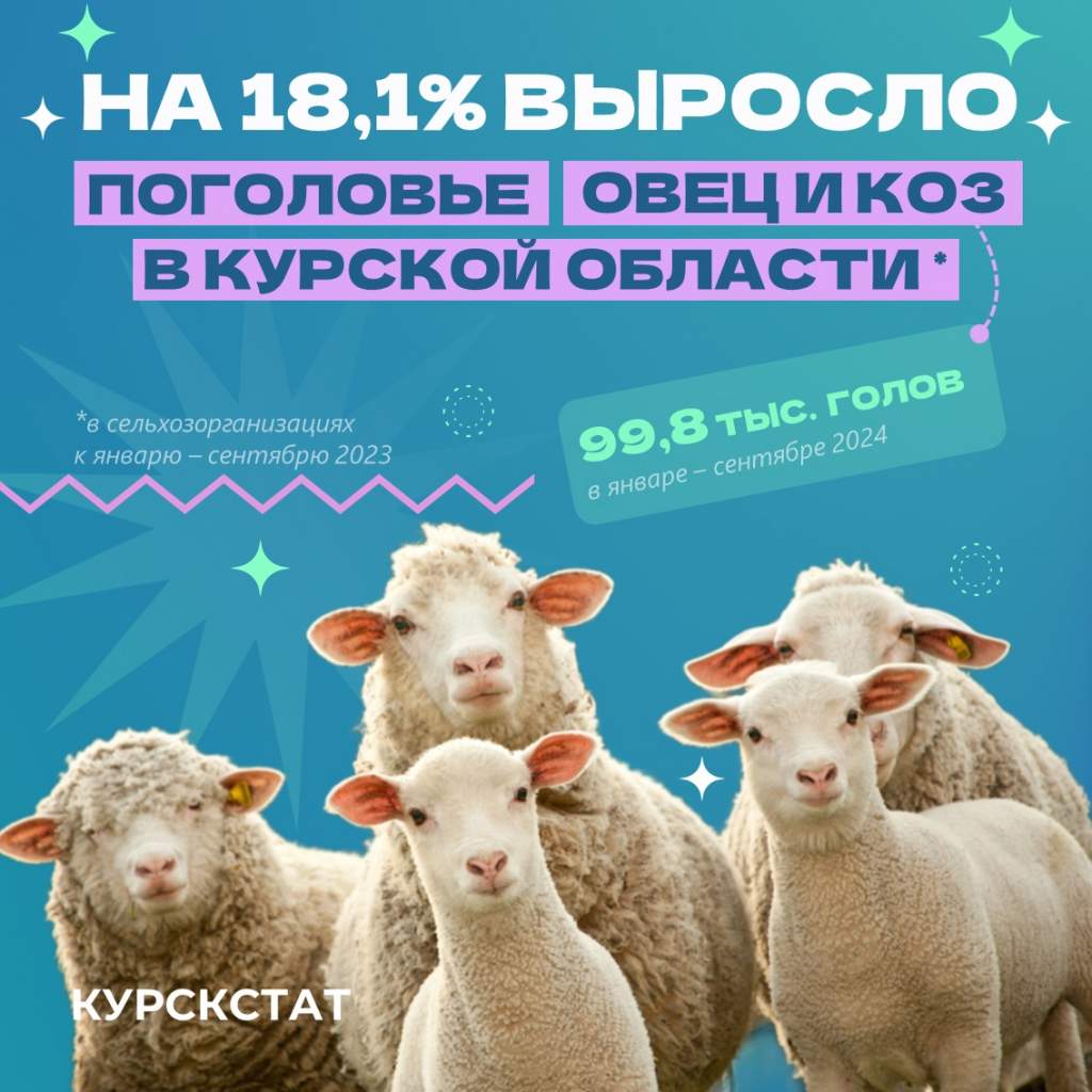 В Курской области на 18,1% выросло поголовье овец и коз