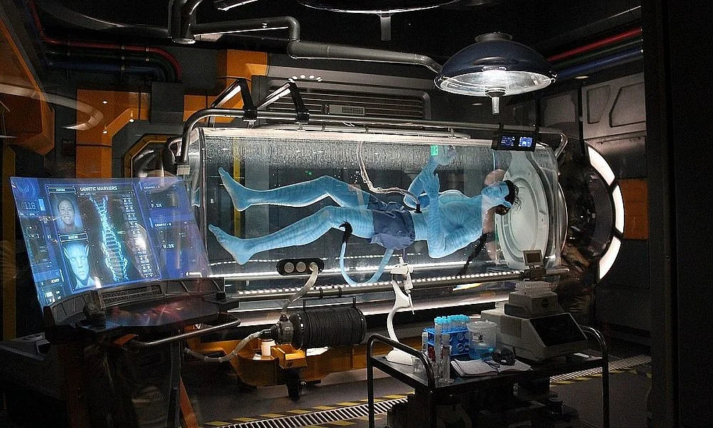 Avatar: Flight Of Passage