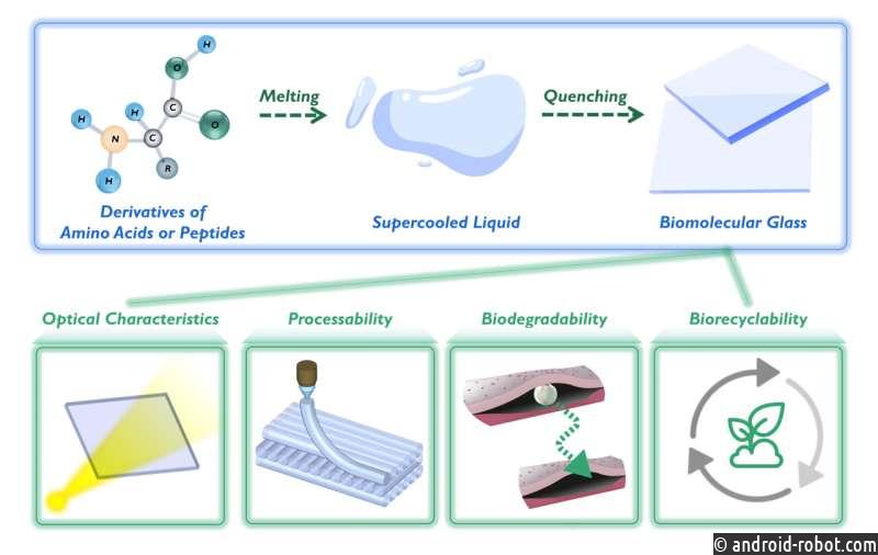 Разрабатывается биоразлагаемое и биоперерабатываемое стекло