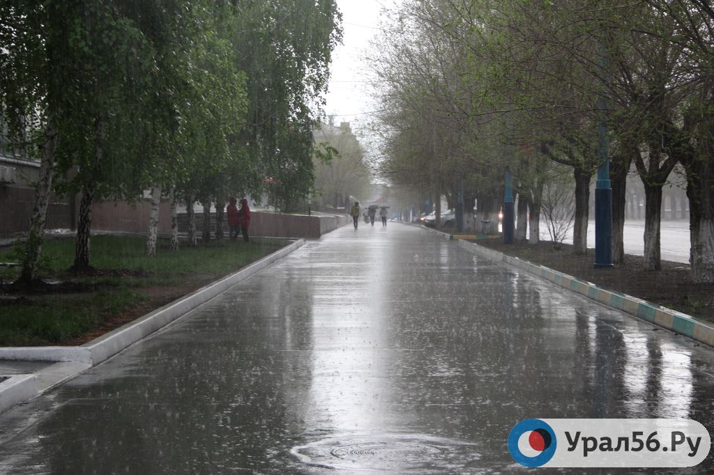 Дождь в Оренбургской области. Фото из архива