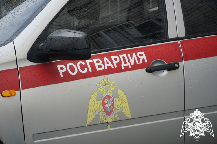 Трое граждан задержаны росгвардейцами на охраняемых объектах Петрозаводска 